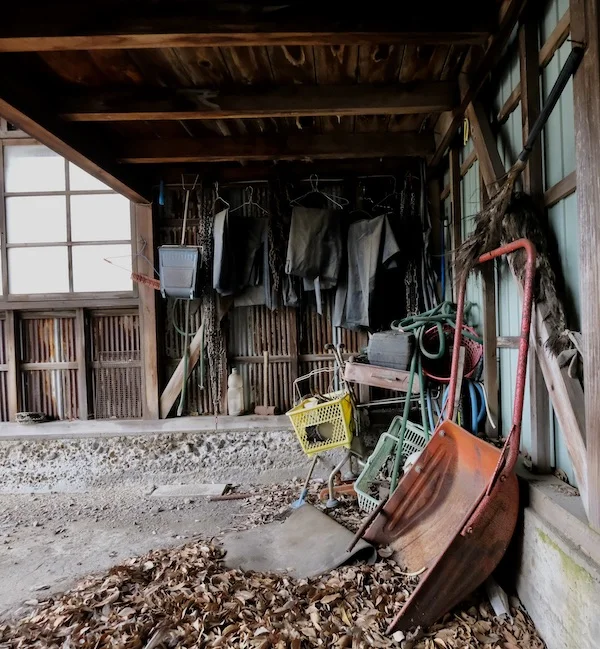 detritus-2.JPG