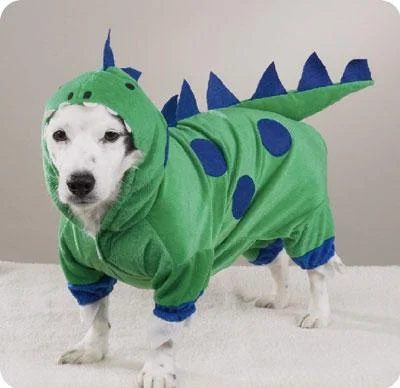 Dinosaur-1.webp