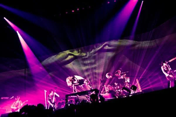 direngrey-1.webp