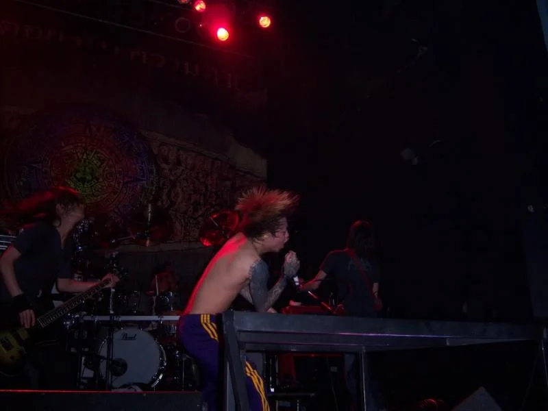 direngrey006-1.webp