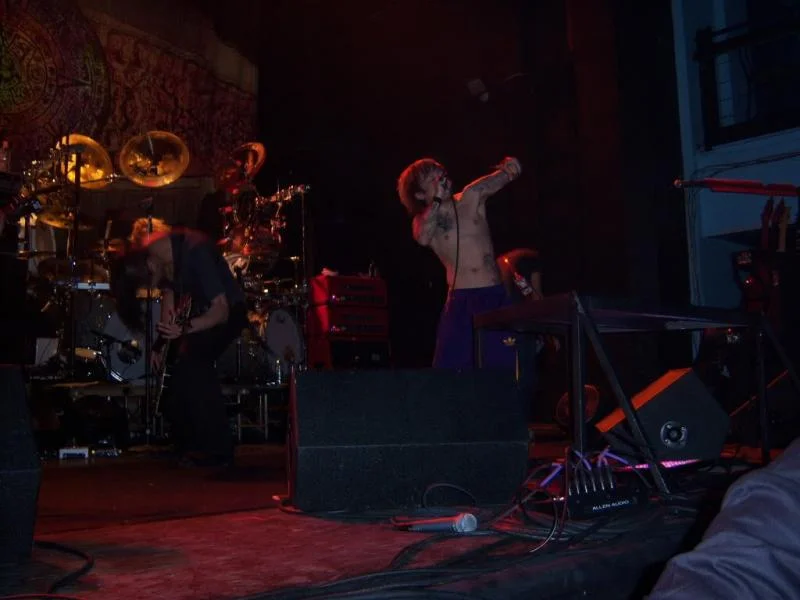 direngrey010-1.webp