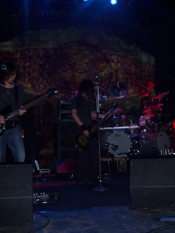 direngrey014-1.webp