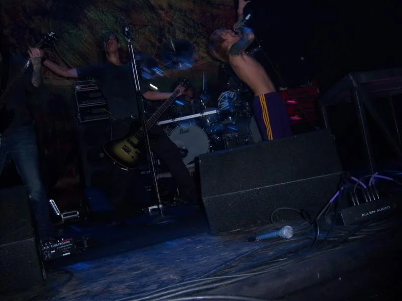 direngrey015-1.webp