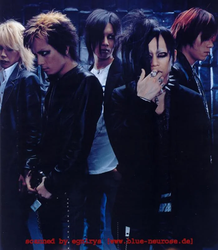 direngrey10-1.webp