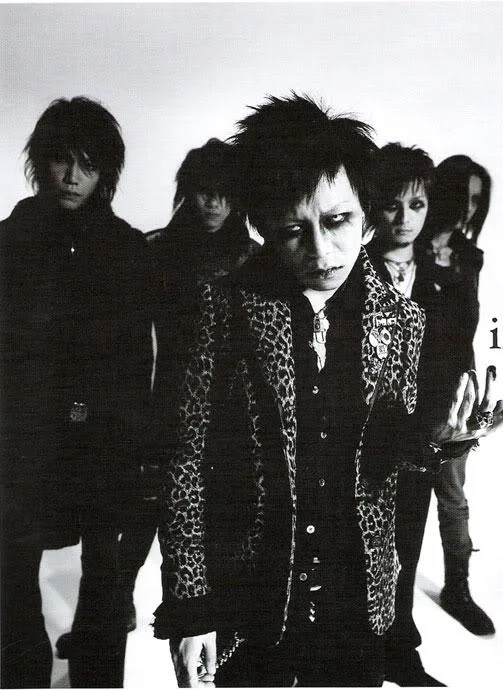 direngrey4-1.webp