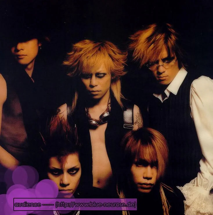direngrey5-1.webp