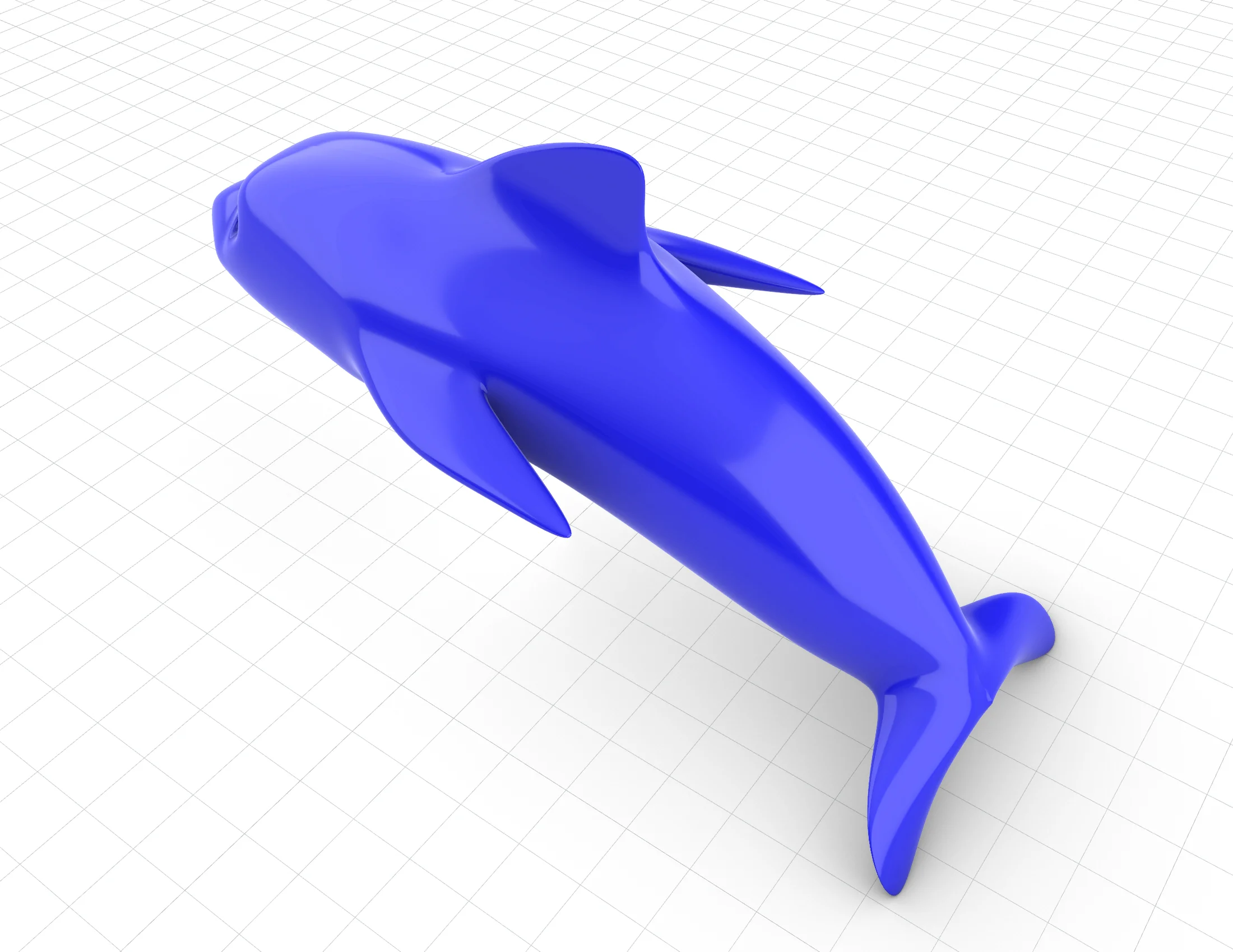 dolphine_syop.jpg