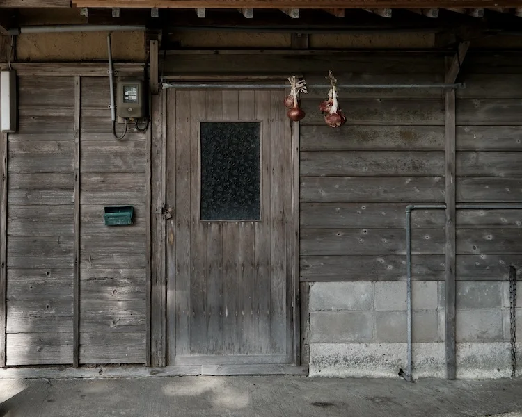 door, onions.webp