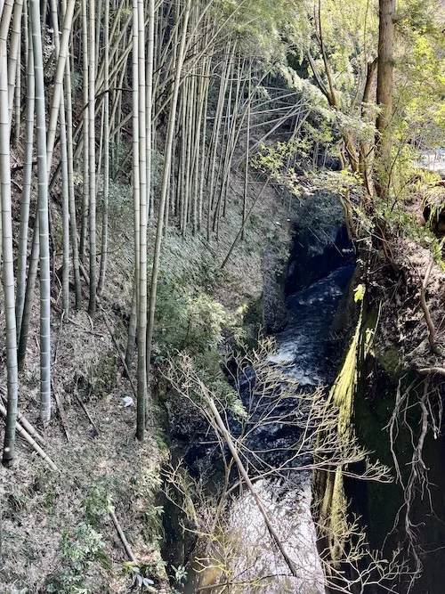 downstream.webp