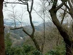 dp640-1.webp