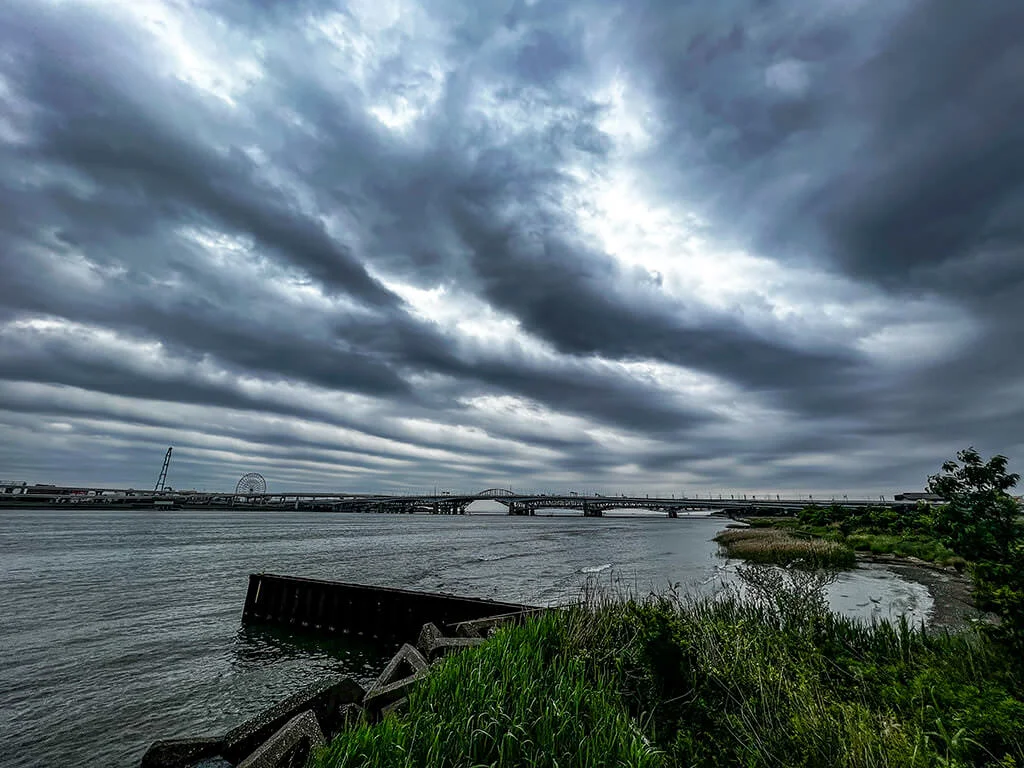 dramatic-ara.webp