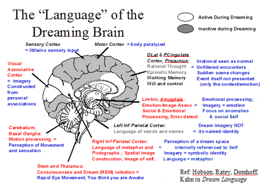 DreamingBrain_540.gif