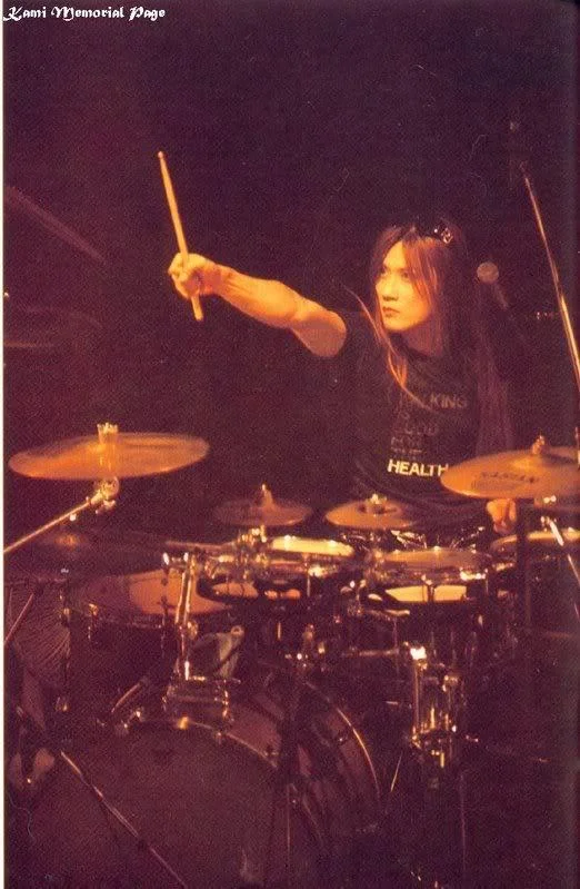 drumskami-1.webp