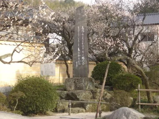 DSC00275-1.webp