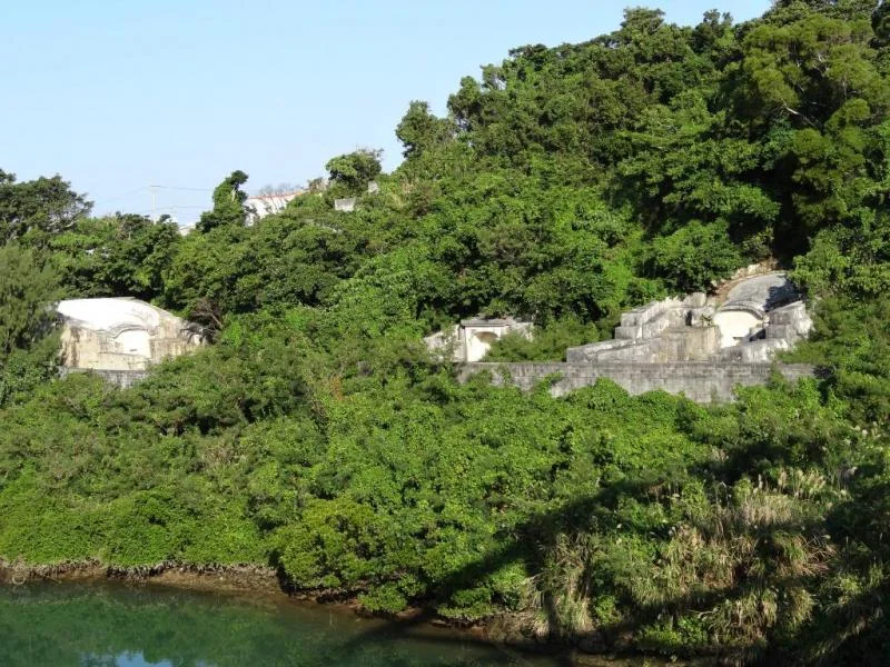 DSC00317-1.webp