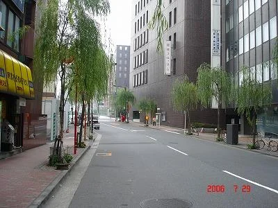 DSC04006-1.webp