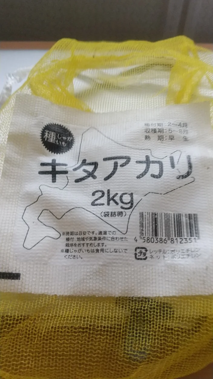 DSC_0075ｐotato bag.webp