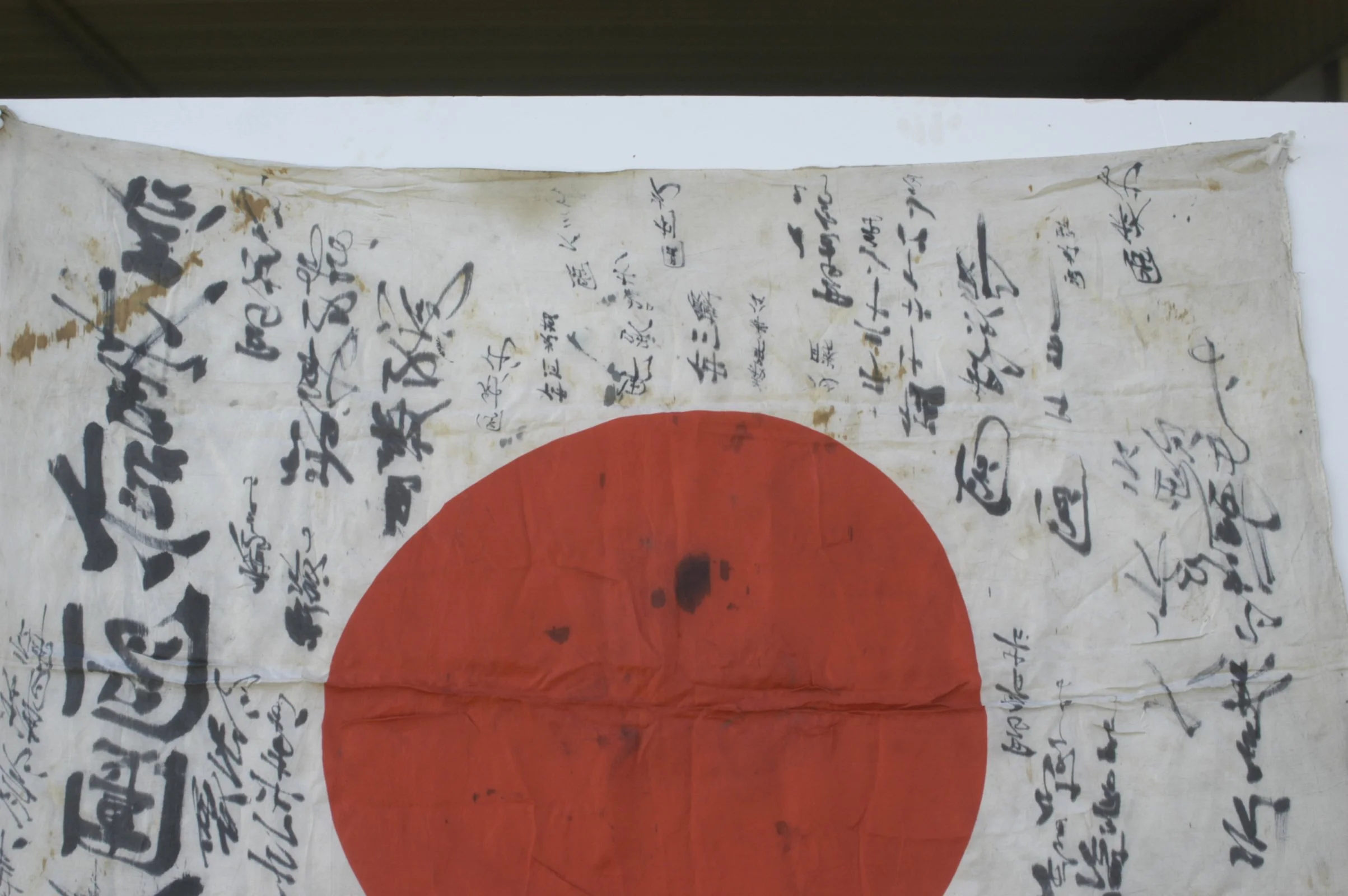 DSC_0172.webp
