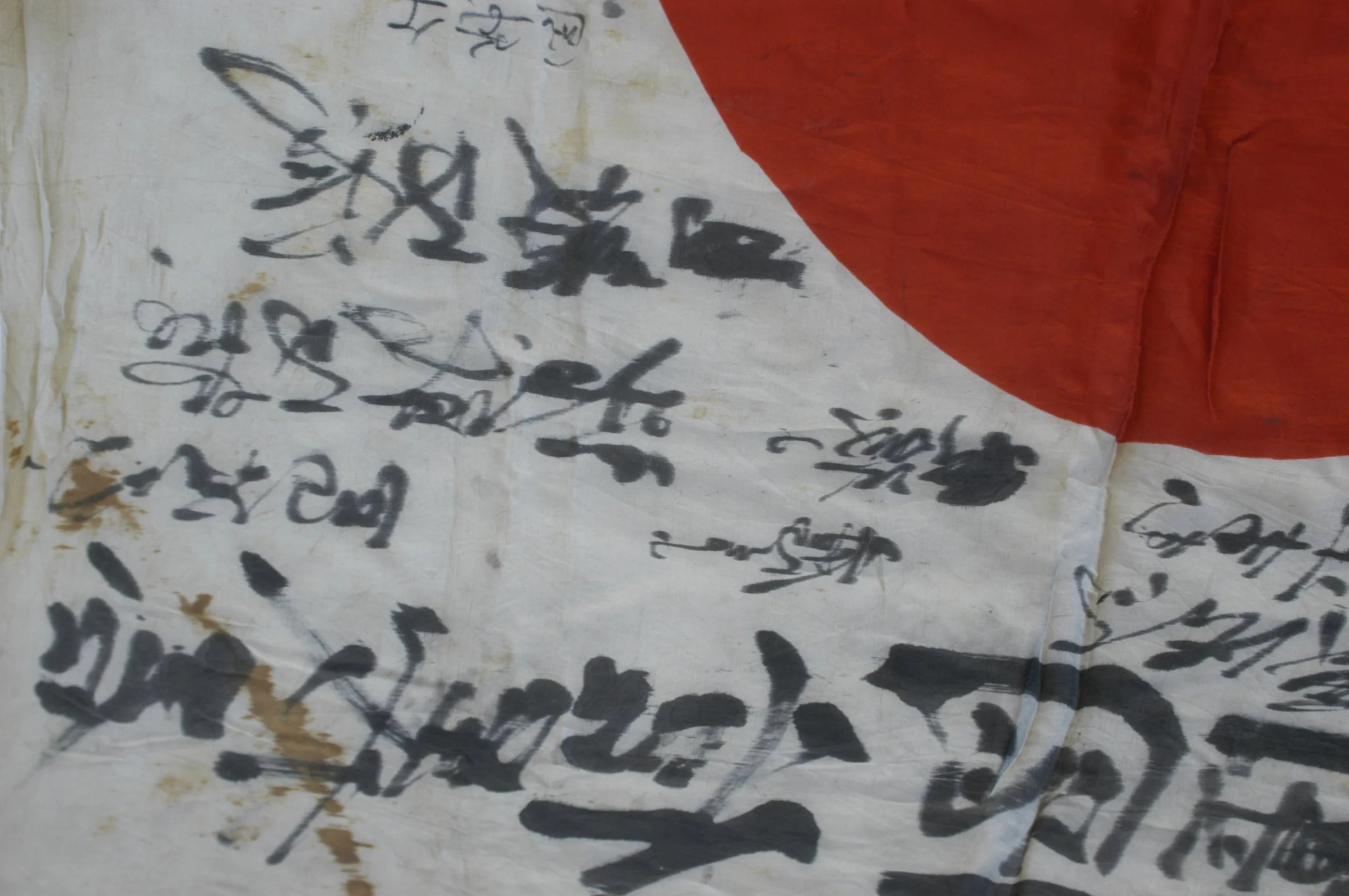DSC_0186.webp