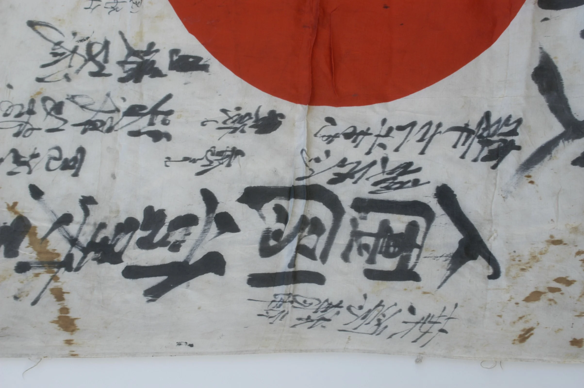 DSC_0187.webp