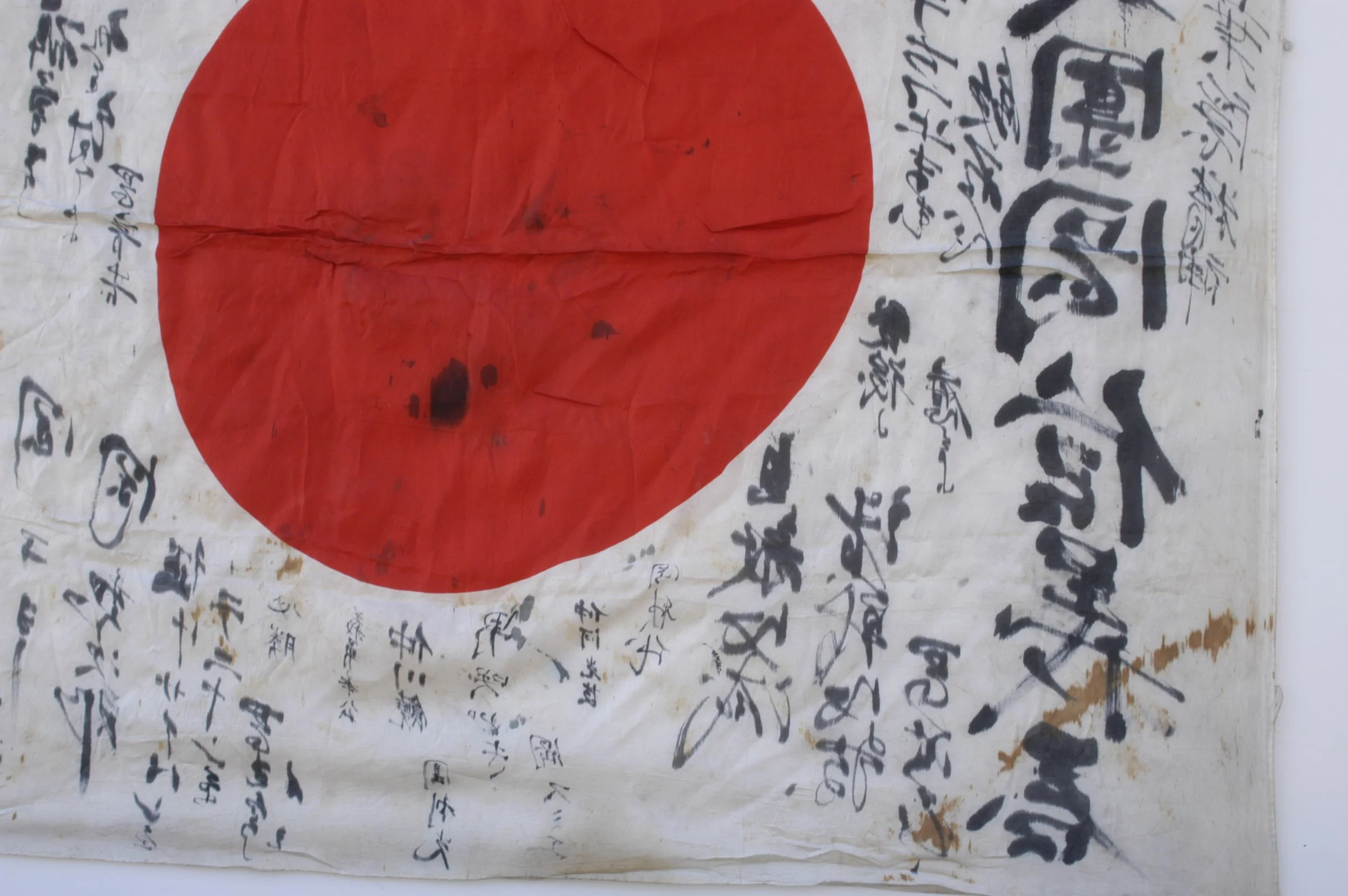 DSC_0206.webp