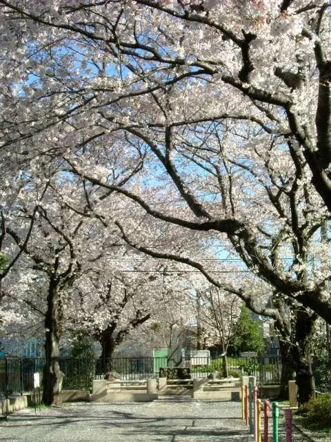 DSCF0253640-1.webp