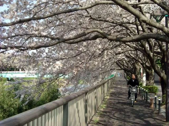 DSCF0270640-1.webp