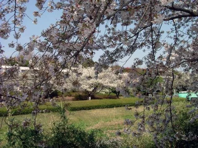DSCF0271640-1.webp
