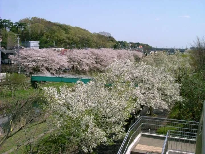 DSCF0922720-1.webp