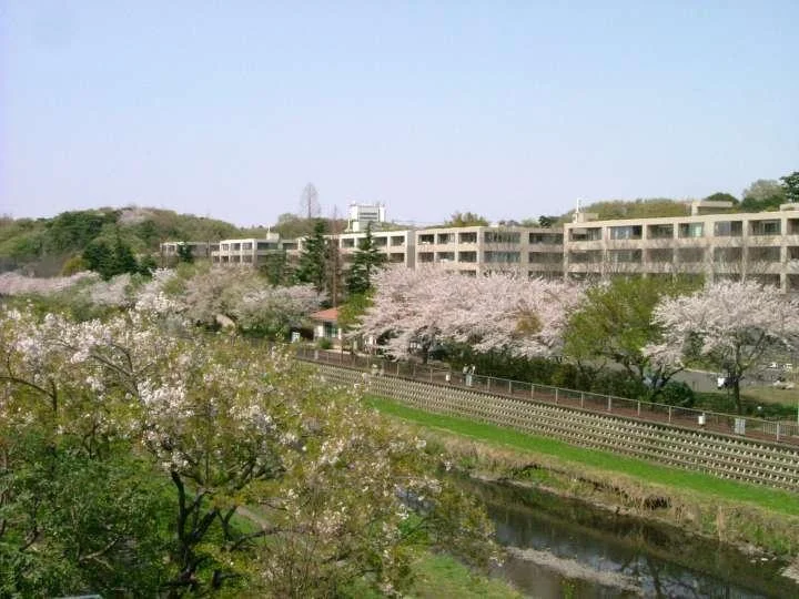 DSCF0923720-1.webp
