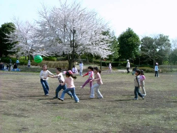 DSCF0925720-1.webp