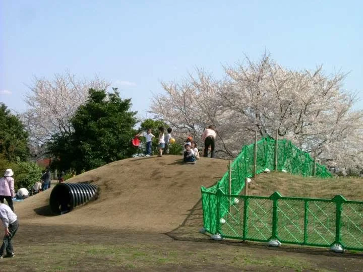 DSCF0926720-1.webp