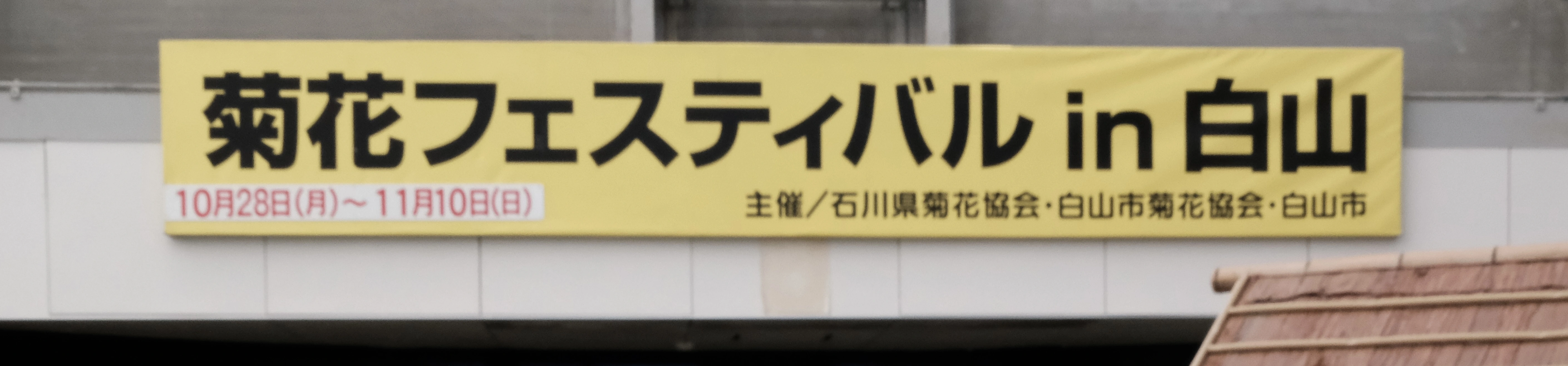 DSCF1522.webp