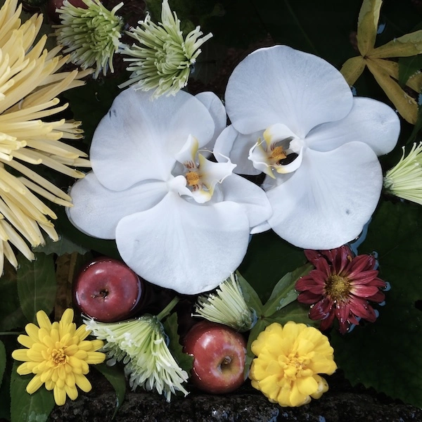 DSCF1587.webp