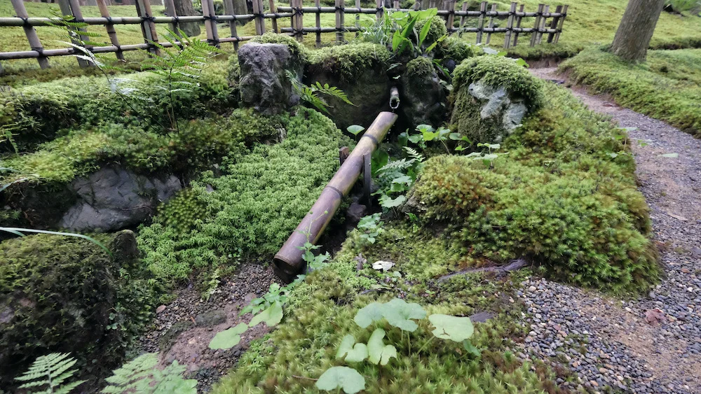 DSCF1812.JPG