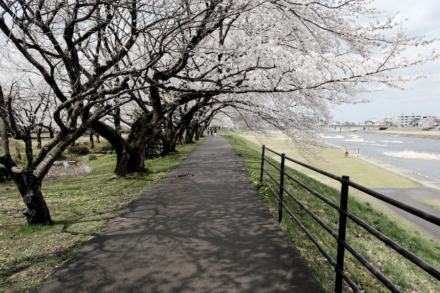 DSCF1820.webp