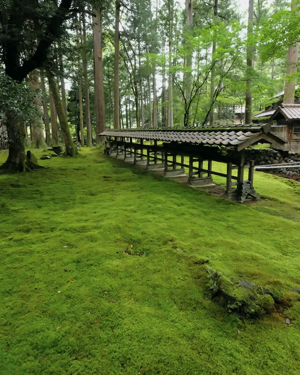 DSCF1834.webp