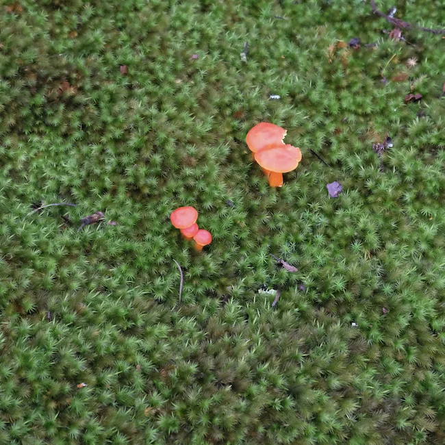 DSCF1843.webp