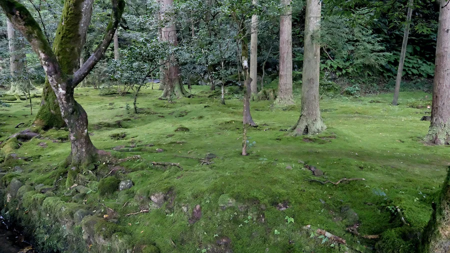 DSCF1852.webp
