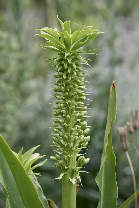 DSCF2094.webp