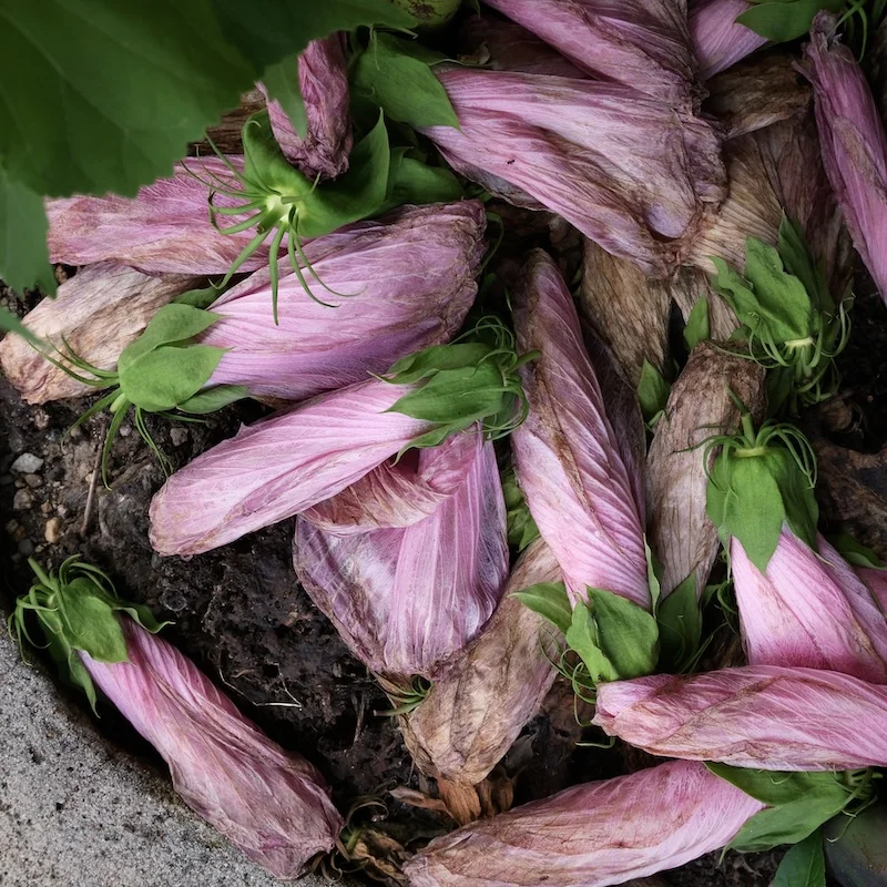 DSCF2168.webp