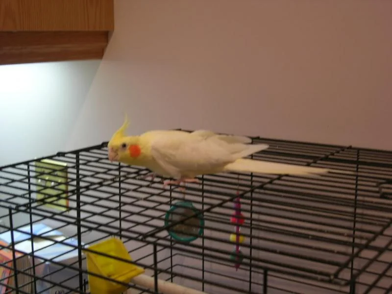 DSCN0238-1.webp