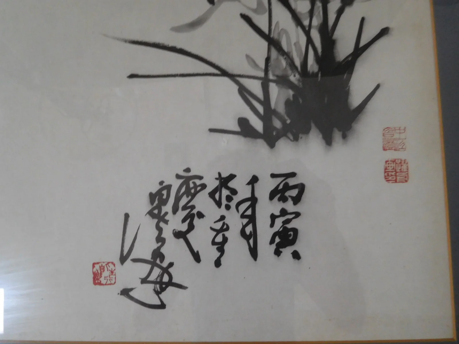 dscn0925.webp