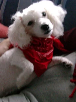 DSCN1134_a.webp