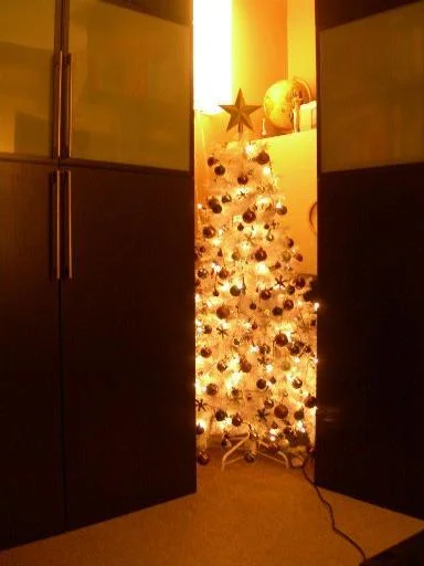 dscn1471v-1.webp