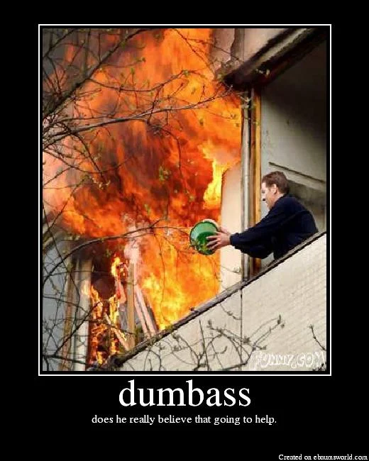 dumbass1png-1.webp