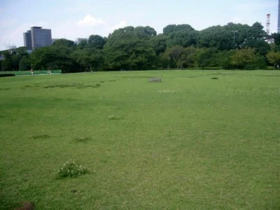 Edo Castle (江戸城)