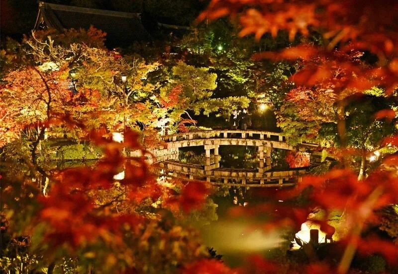 eikando-zenrinji-kyoto.jpg