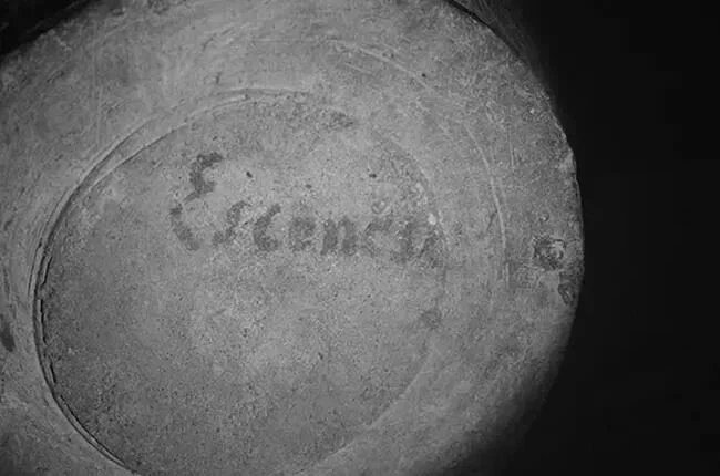 escencia.webp