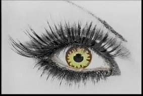 eye2-1.webp